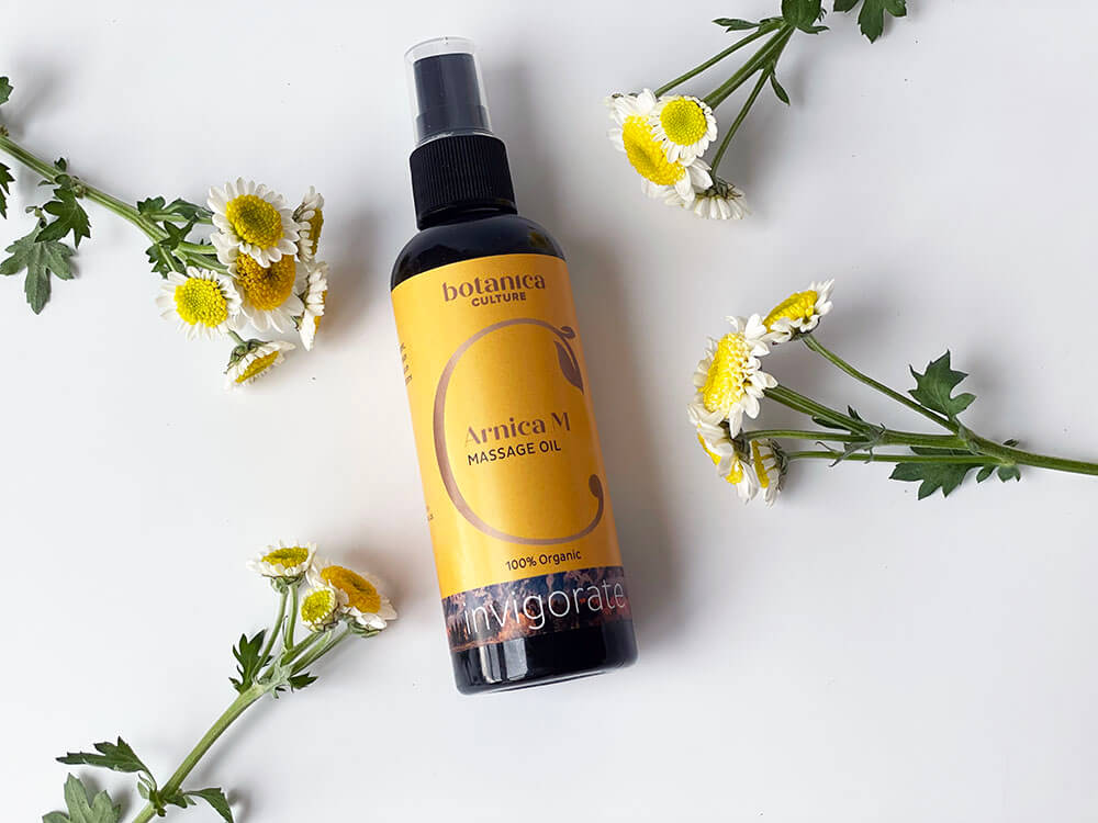 Arnica oil and flowers